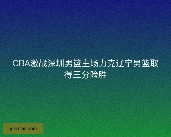 CBA激战深圳男篮主场力克辽宁男篮取得三分险胜